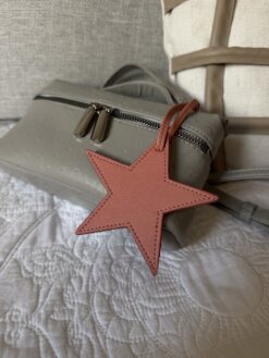 Trendy Star Tag - Peach